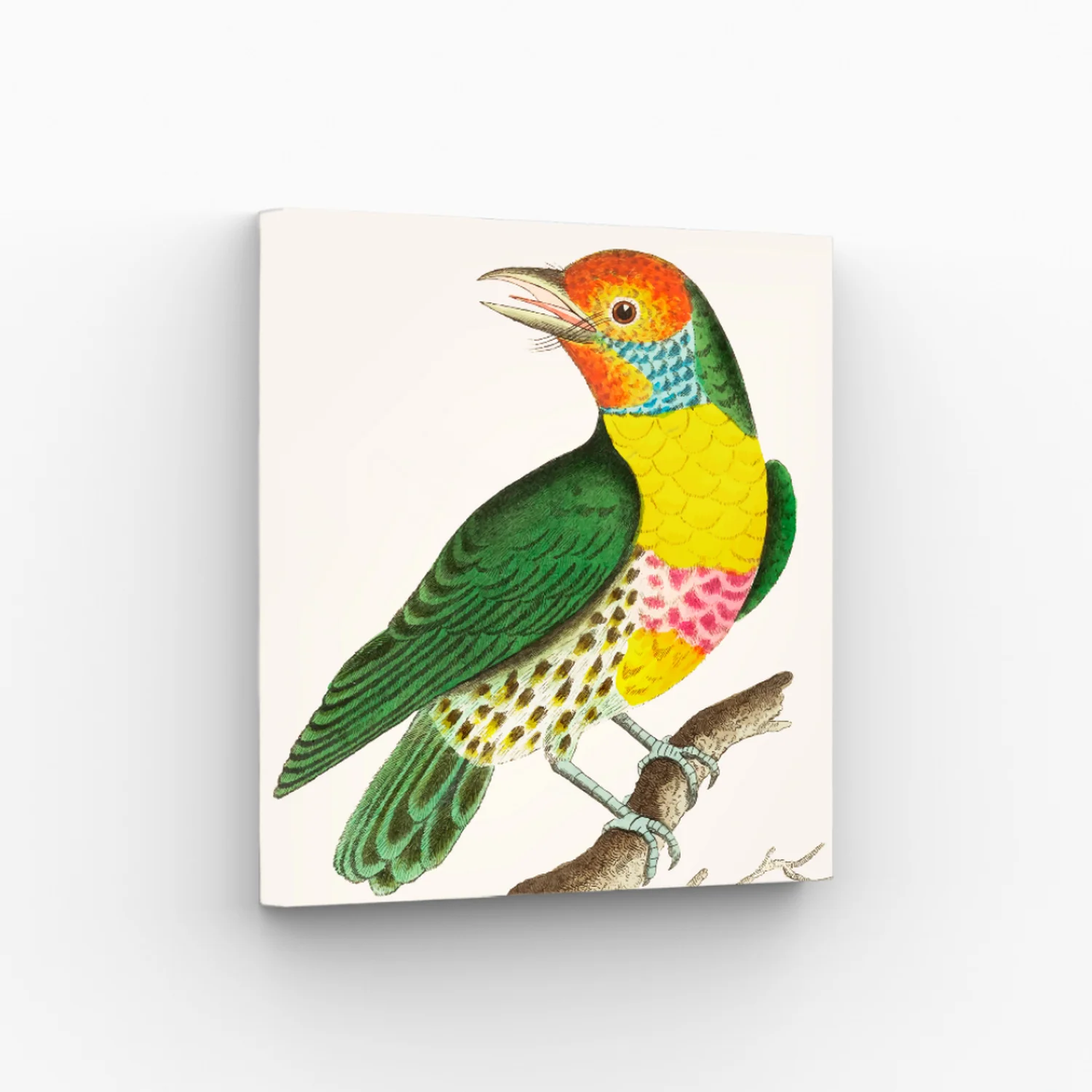 Set Pintura Por Números X3 - Mini Pájaros 20x20 - Image 3