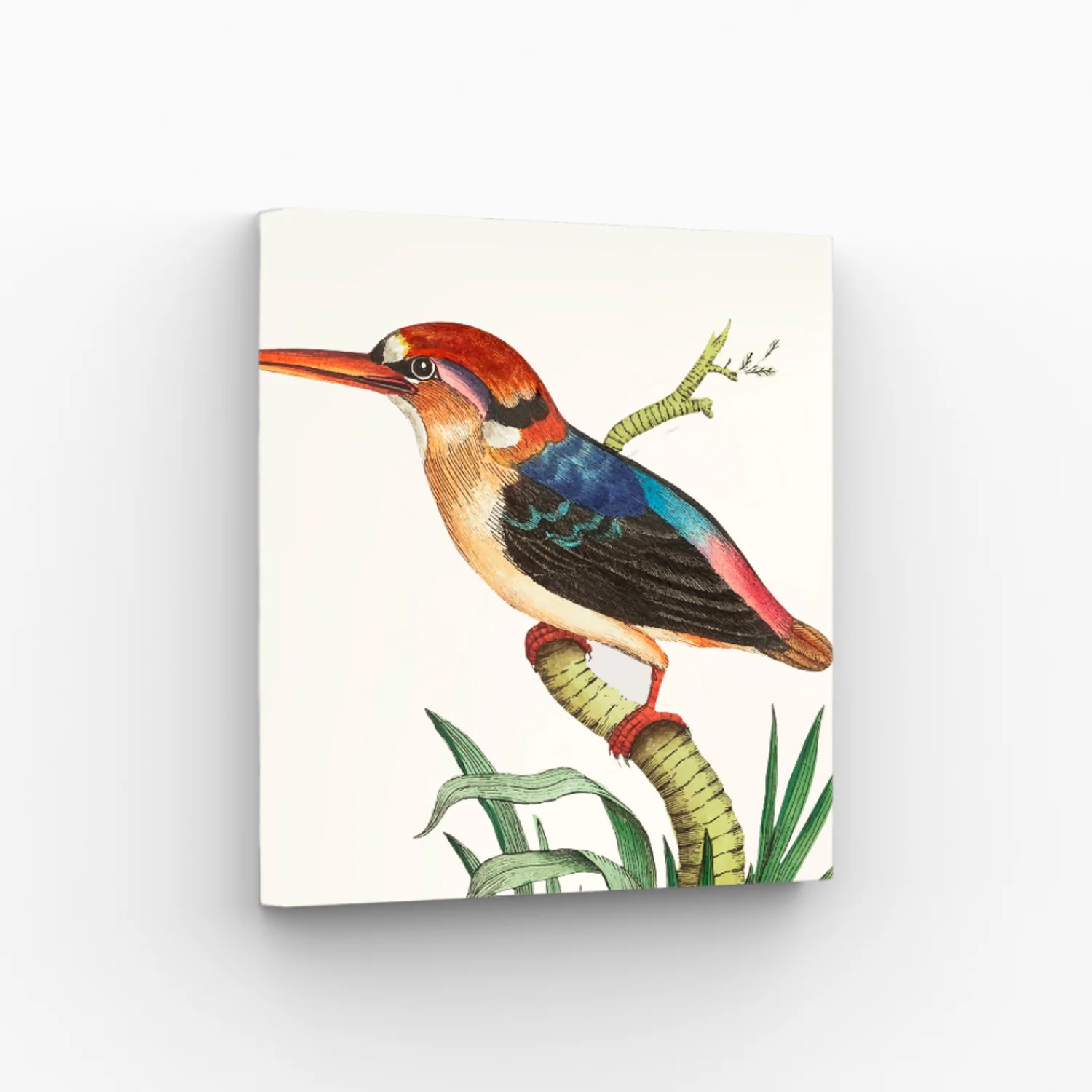 Set Pintura Por Números X3 - Mini Pájaros 20x20 - Image 4